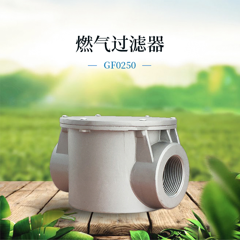 燃氣過(guò)濾器